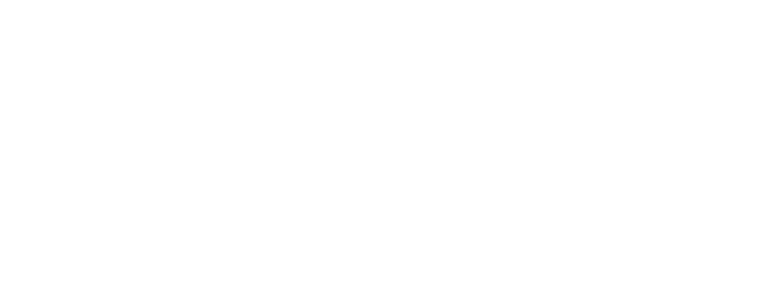 Bravo Nodo Logo Blanco